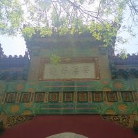 評論圖片 1