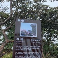 評論圖片 4