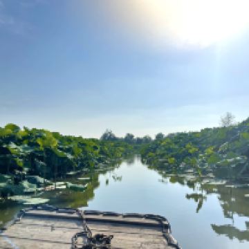 評論圖片 1
