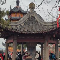 評論圖片 9