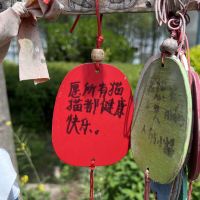 評論圖片 5