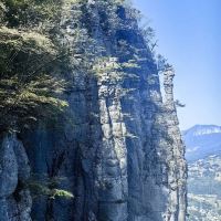 評論圖片 2