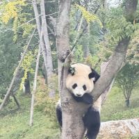 評論圖片 4