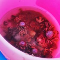 評論圖片 2