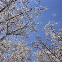 評論圖片 6