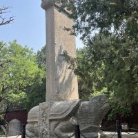 評論圖片 6