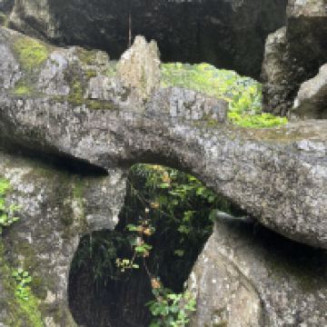 評論圖片 3