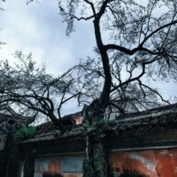 評論圖片 5