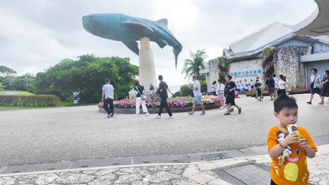 review picture