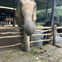評論圖片 7