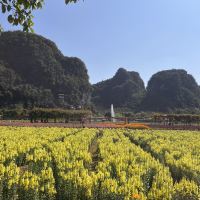 評論圖片 5