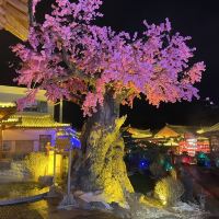 評論圖片 2