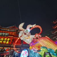 評論圖片 4
