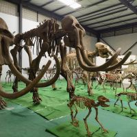 評論圖片 1