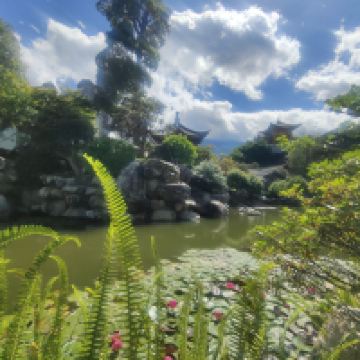 評論圖片 7