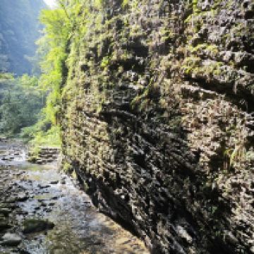 評論圖片 4