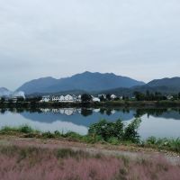 評論圖片 3