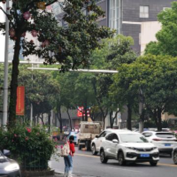 評論圖片 6