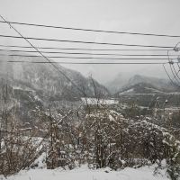 評論圖片 4