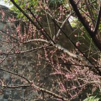 評論圖片 8