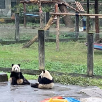 評論圖片 6