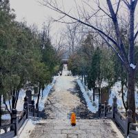 評論圖片 3