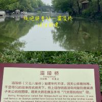 評論圖片 7