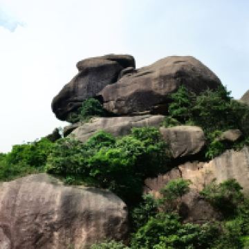 評論圖片 8