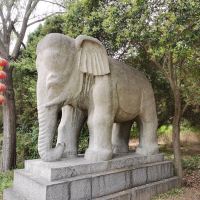 評論圖片 1