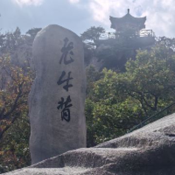 評論圖片 9