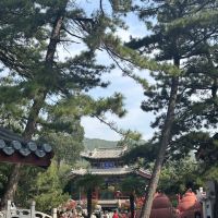 評論圖片 1