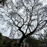 評論圖片 5