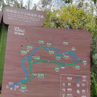 評論圖片 3