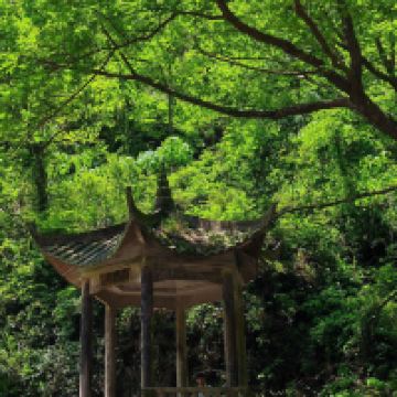 評論圖片 5