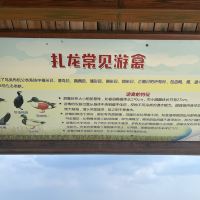 評論圖片 9