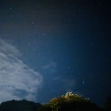 評論圖片 4