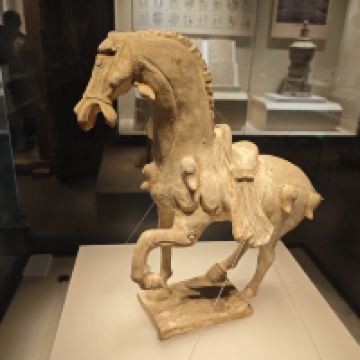 評論圖片 9