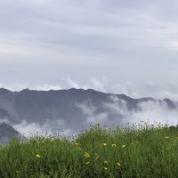 評論圖片 2