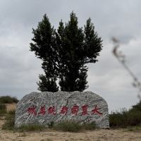 評論圖片 2