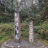 評論圖片 5