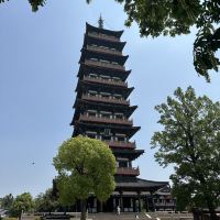 評論圖片 2