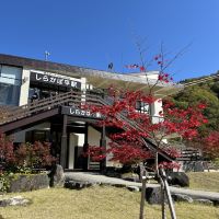評論圖片 3