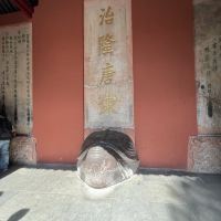 評論圖片 2