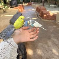 評論圖片 6