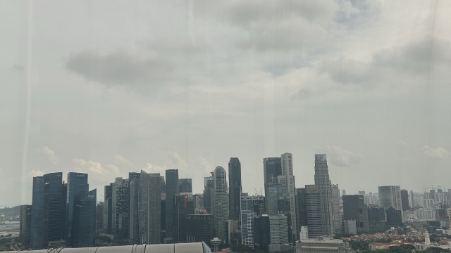 review picture