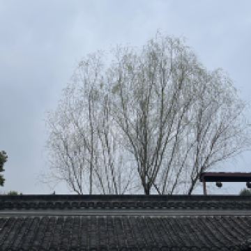 評論圖片 1