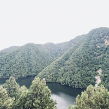 評論圖片 5