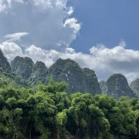 評論圖片 6