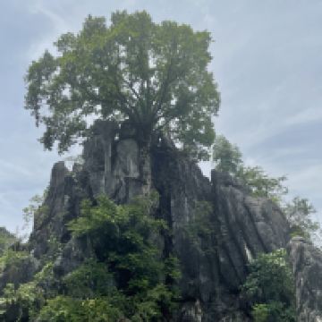評論圖片 2