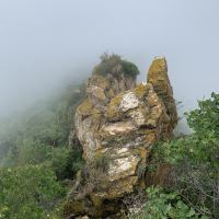 評論圖片 8